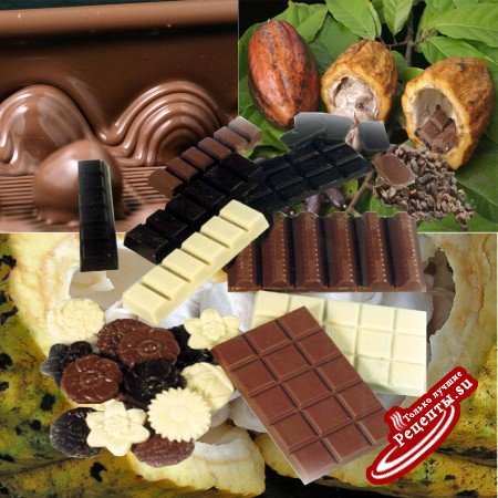 Производство шоколада: десять шагов