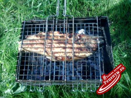 шашлычок из форельки речной