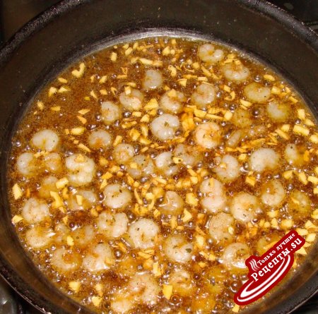 КАРАКАТИЦА