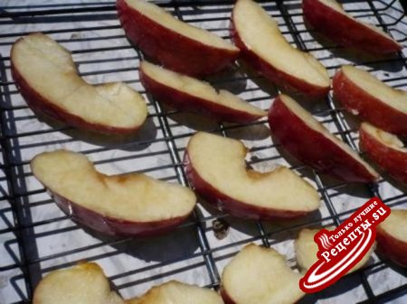 Шашлык из куриной грудки на решетке с карамелизованными яблоками