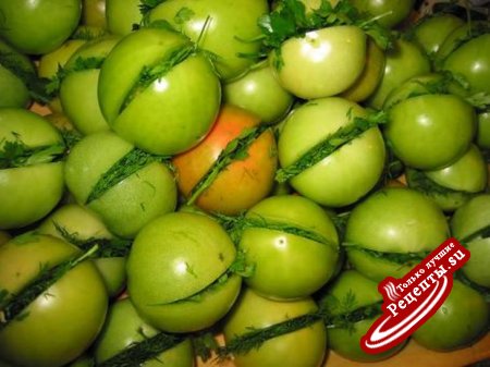 фаршированные зеленые помидоры на зиму, заготовка помидоров на зиму