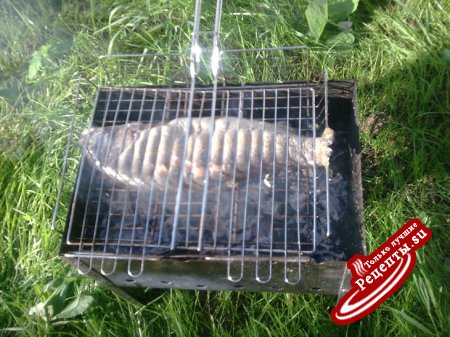 шашлычок из форельки речной