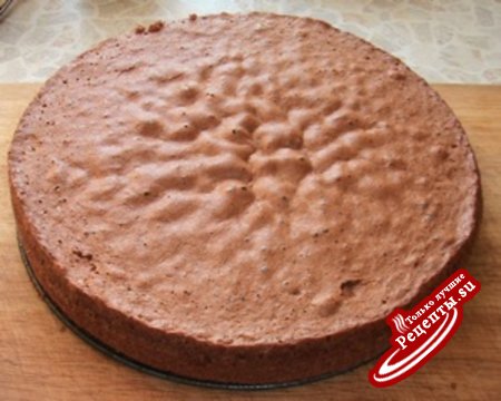 Бисквит ванильно-орехово-шоколадный