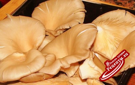 фуа-гра ( Foie gras) с грибами и кус-кусом