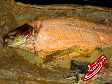 Печёная лососевая форель с авокадно-укропным соусом