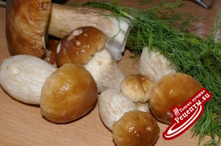 Каннеллони с белыми грибами "Затмение"