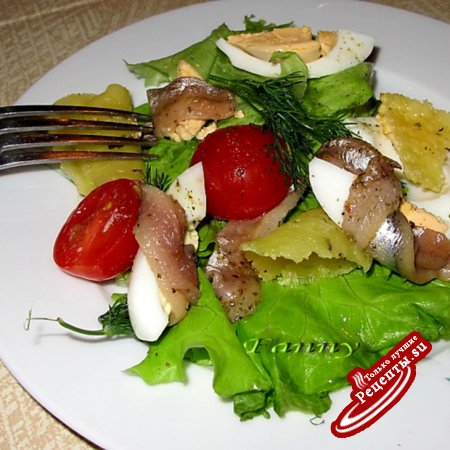 Салат с анчоусами и сырными чипсами