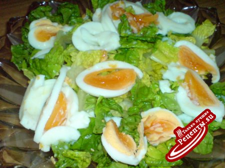 Салат зелёный с варёными яйцами и соусом из тунца