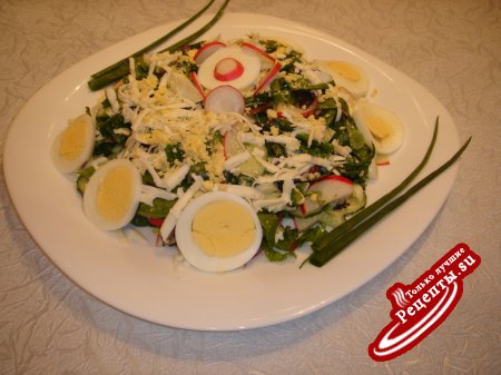 Весенний салат из редиса со шпинатом
