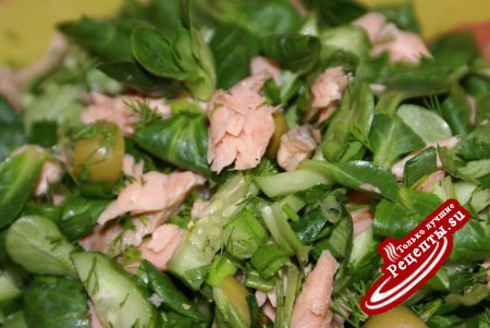Зелёный салат с копченой горбушей