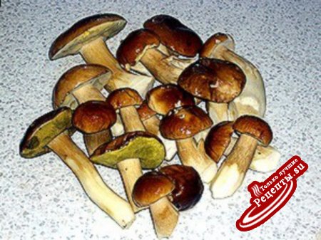 Корзиночки с белыми грибами