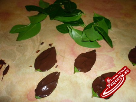 Трюфельные пирожные"Шоколадная листва" (дуэльные)