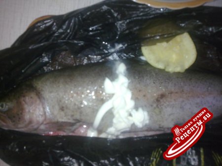 шашлычок из форельки речной