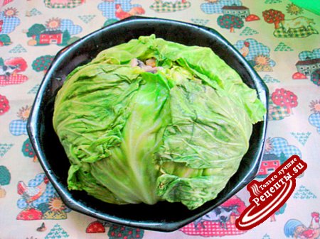 КАПУСТА ФАРШИРОВАННАЯ.