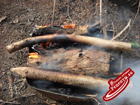 Пангасиус , приготовленный на углях дерева грецкого ореха .
