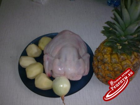 КУРАНАС!!!