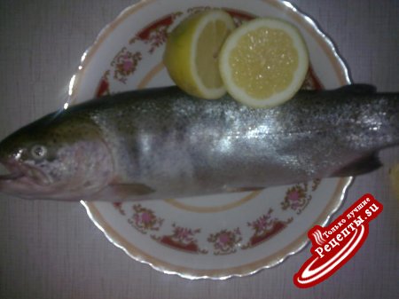 шашлычок из форельки речной