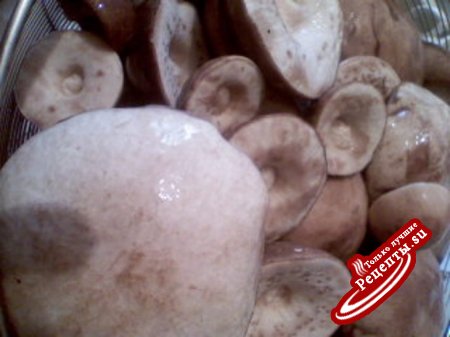 Маринованные подберезовики и белые грибы
