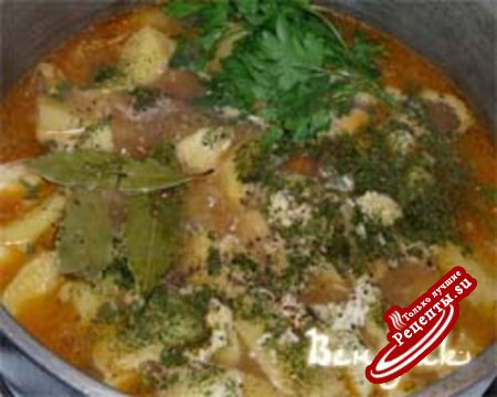 Соус ( Среднеазиатский "чудный" суп)