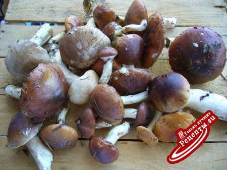 Суп грибной в горшочке без мяса "Дары леса"