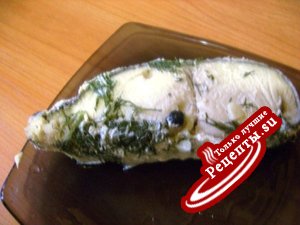 рыба Калуга