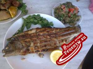 шашлычок из форельки речной