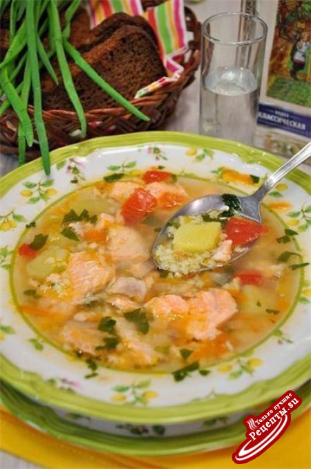 Уха из семги: рецепт аппетитного супа